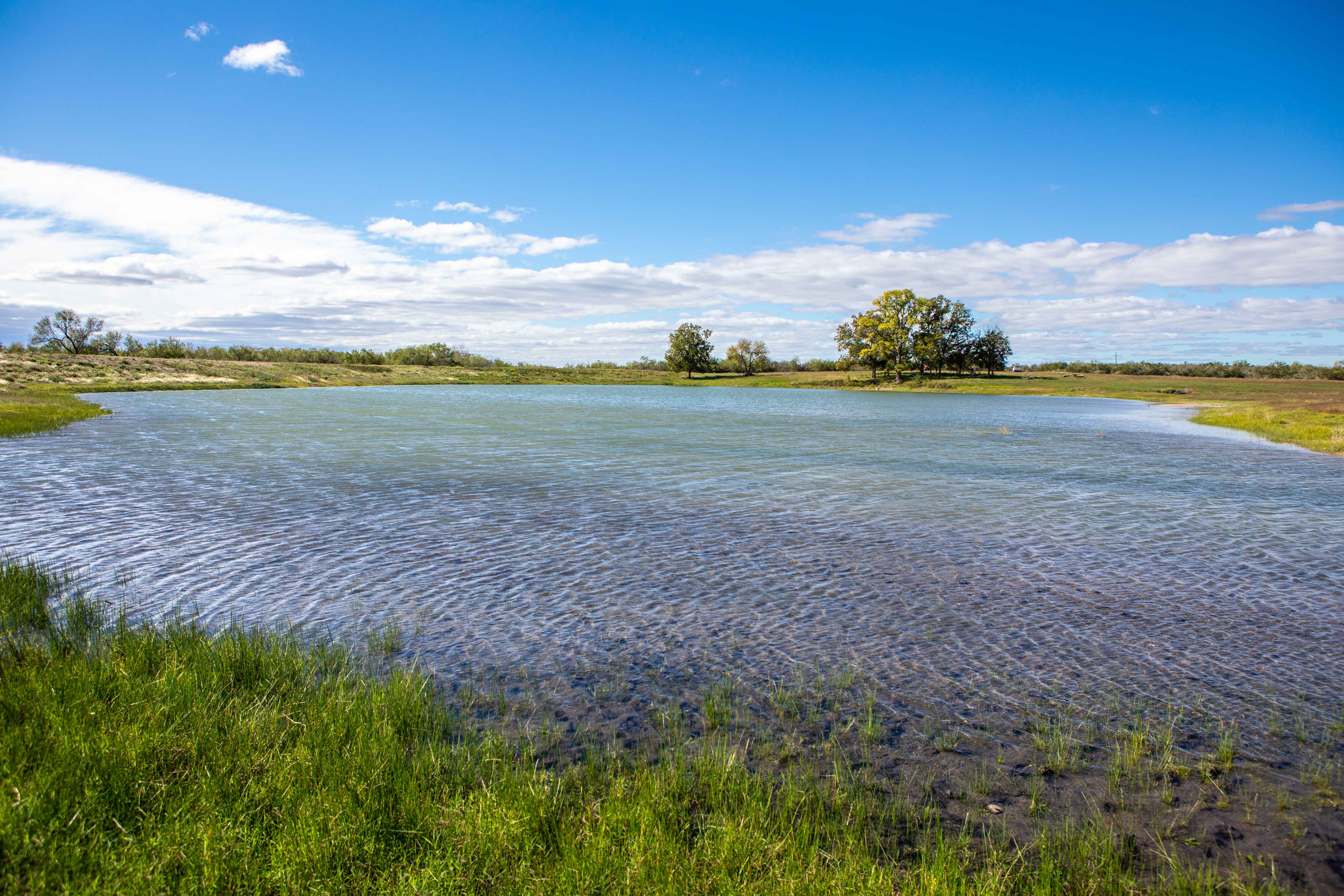 Texas Ranches & Agricultural Properties 